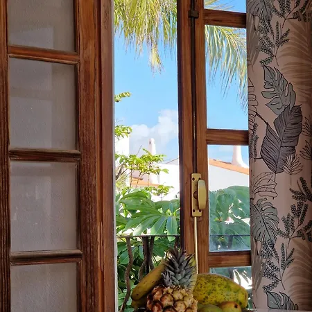 Sunny Oasis Amarilla Golf