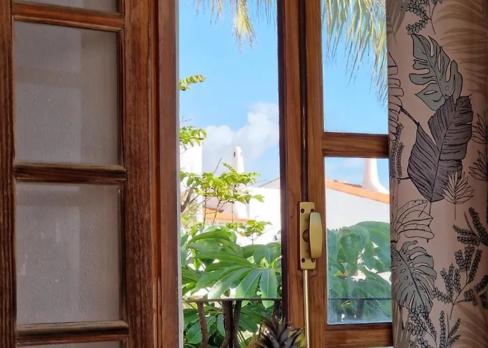 Sunny Oasis Amarilla Golf