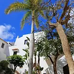 Sunny Oasis Amarilla Golf *