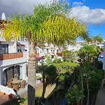 Sunny Oasis Amarilla Golf *
